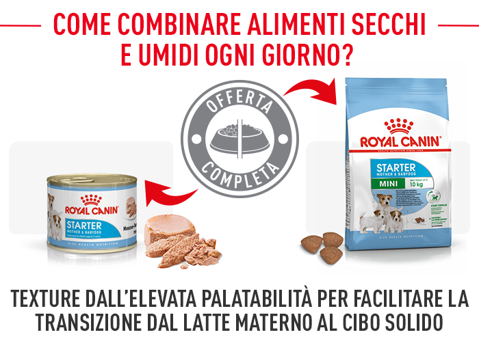 Royal Canin Mini Starter Mother & Babydog