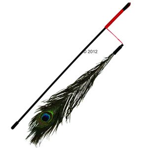 Dangler Pole with Peacock Feather