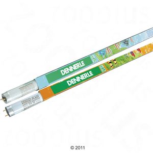 Dennerle Trocal T8 Special Plant + Amazon Day