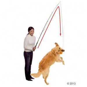 Dog Dangler træningsstang