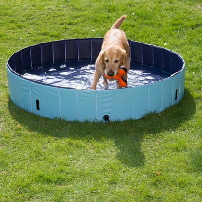 Large Paddling Pool For Dogs Large Paddling Pool For Dogs