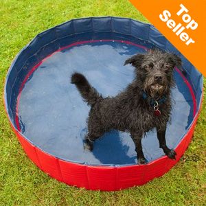 Doggy Pool