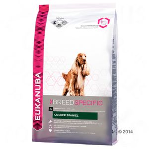 Eukanuba Cocker Spaniel