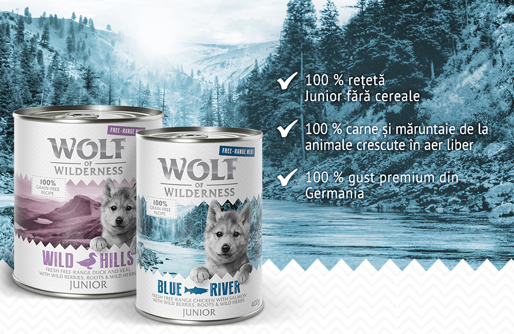 Wolf of Wilderness