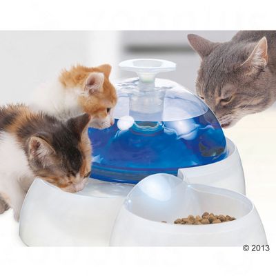 fountain chat La fontaine à eau pour animaux de compagnie eyenimal pet fountain est idéale pour les chats et les mon chat ne réclame plus près de l'évier que je. fountain chat La fontaine à eau pour animaux de compagnie eyenimal pet fountain est idéale pour les chats et les mon chat ne réclame plus près de l'évier que je.