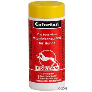 Fortan Cafortan