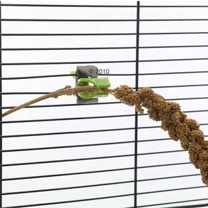 Futterhalter Pincer