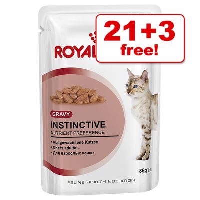 Best Wet Cat Food For Ibd Best Wet Cat Food For Ibd