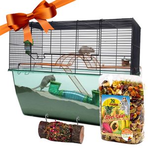 Gift Set: Nibble Log & Fruity Fun