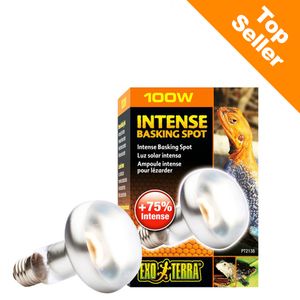 Hagen Exo Terra Intense Basking Spot