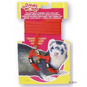 Hagen Leash & Harness Set for Ferrets