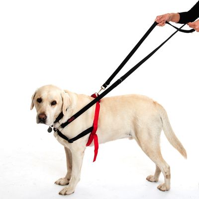 HALTI - Harnais anti-traction pour chien - zooplus HALTI - Harnais anti-traction pour chien - zooplus