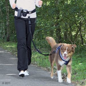 183684_trixie_handsfree_joggingleine_12_2011_2.jpg