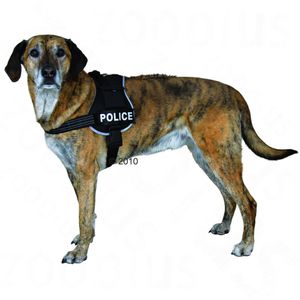 Harnais pour chien XDog, noir