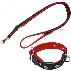 Heim Paw Print Dog Collar & Lead Set