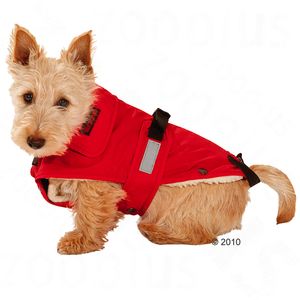 Hondenjas No Limit rood