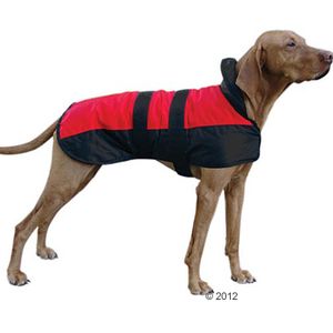 Hundemantel Eisbär rot/schwarz