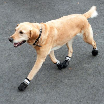 Outbak S Shoes Canada Outbak S Shoes Canada