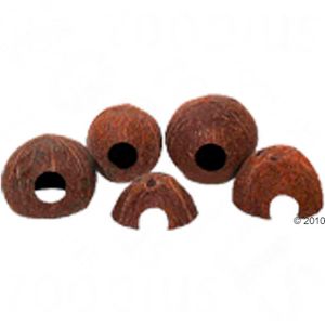 JBL Cocos Cava