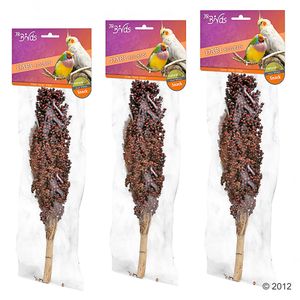 JR Farm Dari Cob - 3 Pieces
