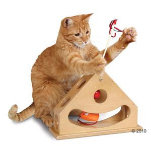 Juguete para gatos Tick Tock Teaser