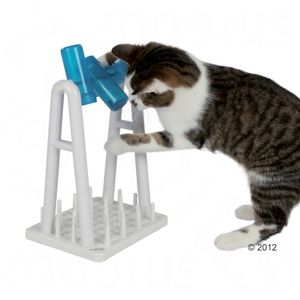 184087_trixie_catactivity_turn_around_katze_03_2012_5.jpg