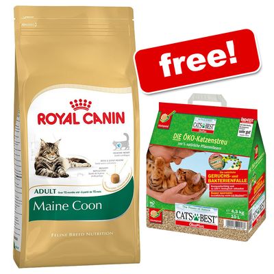 Royal Canin Maine Coon Kg Plus Dry Cat Food Royal Canin Maine Coon Kg Plus Dry Cat Food