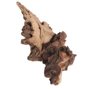 Mopani Wood Root