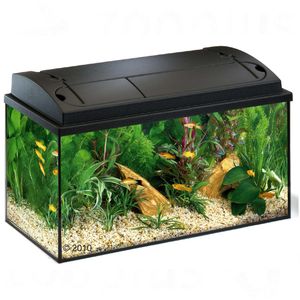 Aquarium Einrichten 60L – Zuhause Image Idee Aquarium Einrichten 60L – Zuhause Image Idee