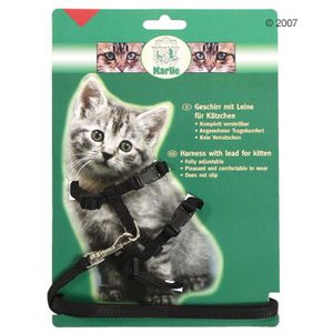 Parure per cucciolo di gatto