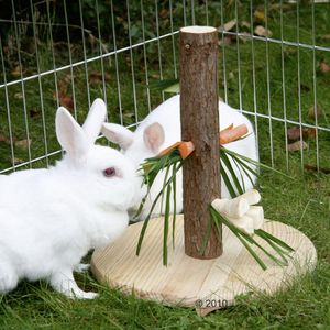 Pesebre árbol para roedores