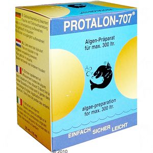 Protalon