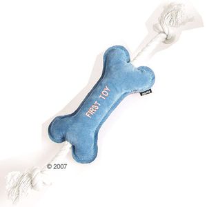 Puppy Play Toy Bone