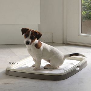 Puppy Trainer Starter Set