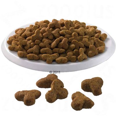 Sensitive Dog Food Kg Sensitive Dog Food Kg