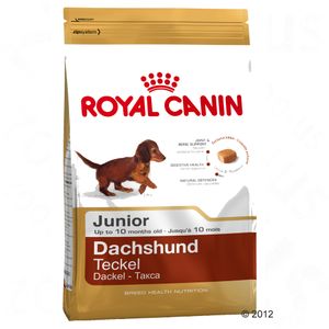 Royal Canin Breed Dachshund 30 Junior