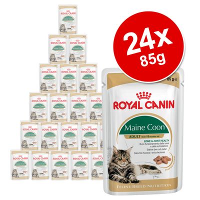 Royal Canin Breed Wet Cat Food Saver Pack 24 x 85g