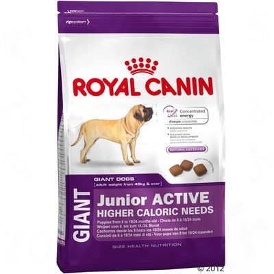 Royal Canin Giant Junior сухой корм для подросших щенков собак очень крупных размеров Royal Canin Giant Junior сухой корм для подросших щенков собак очень крупных размеров