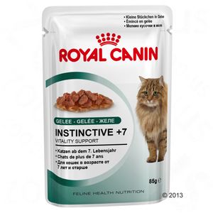 Royal Canin Instinctive +7 in Jelly
