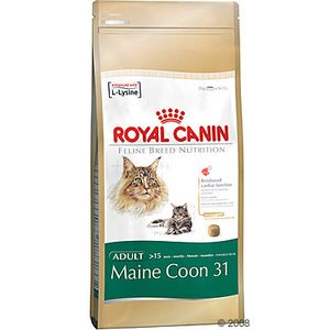 Royal Canin Maine Coon 31
