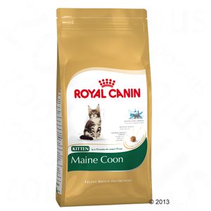 Royal Canin Maine Coon Kitten