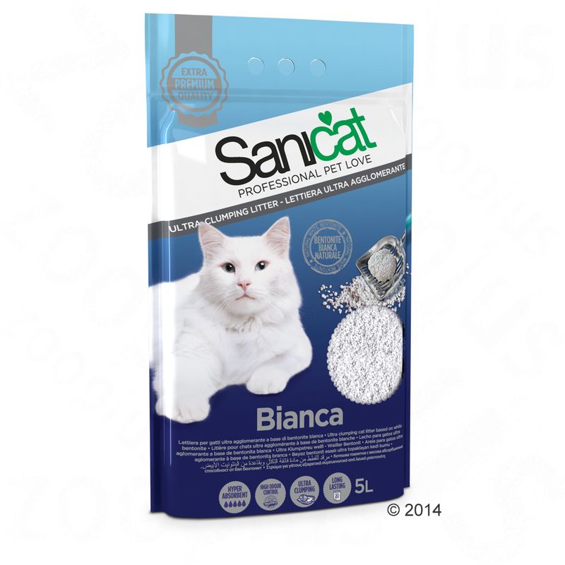 Best Vaccum For Cat Litter Management Best Vaccum For Cat Litter Management