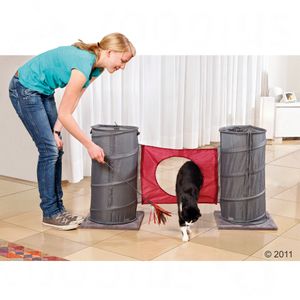 Set de agilidad para gatos