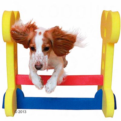 Set 4 Ostacoli Per Agilità Cani VA-Cerulean - Regolabili In Altezza, In PVC, Con Borsa Trasporto | Addestramento Animali Domestici - Foto 7