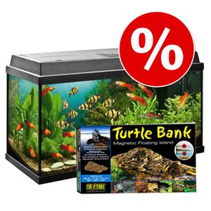 Set TARTARUGA: Juwel Rekord 800 + Exo Terra Turtle Bank