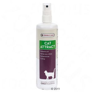 Spray à base de menthe à chat Cat Attract Versele-Laga