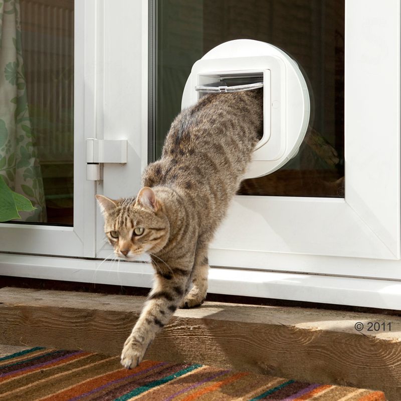 SureFlap Microchip Cat Flap Free P&P £29+ at zooplus!