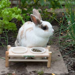 Koda et Kenaï 2695_wonderland_esstisch3_5