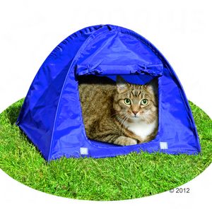 Tenda Kitty Camp