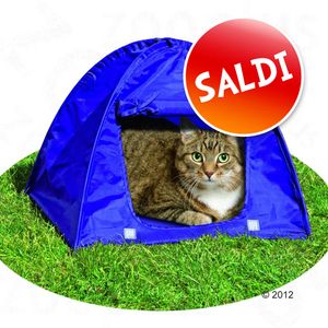 Tenda Kitty Camp
